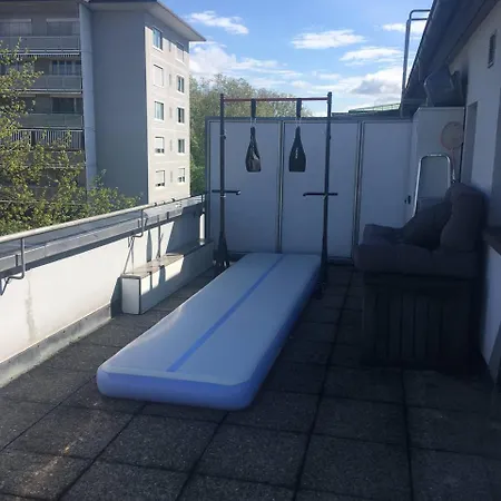 Apartment Unique Little House On A Roof With A Huge Terrace Close To Exhibition Square Basel